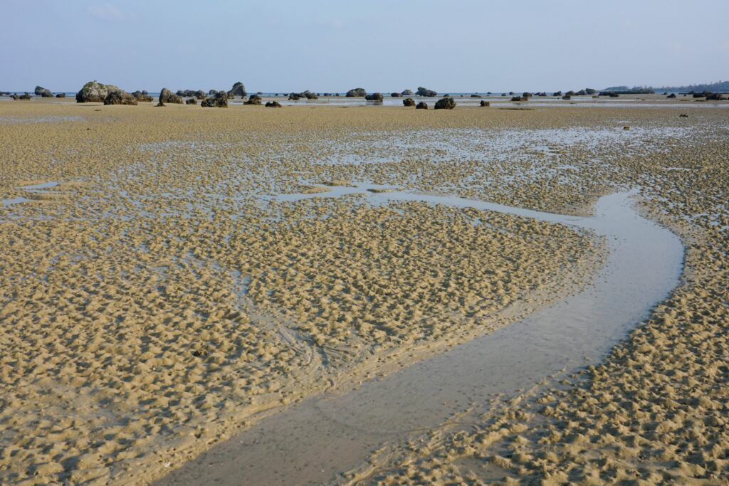 佐和田の浜　干潮