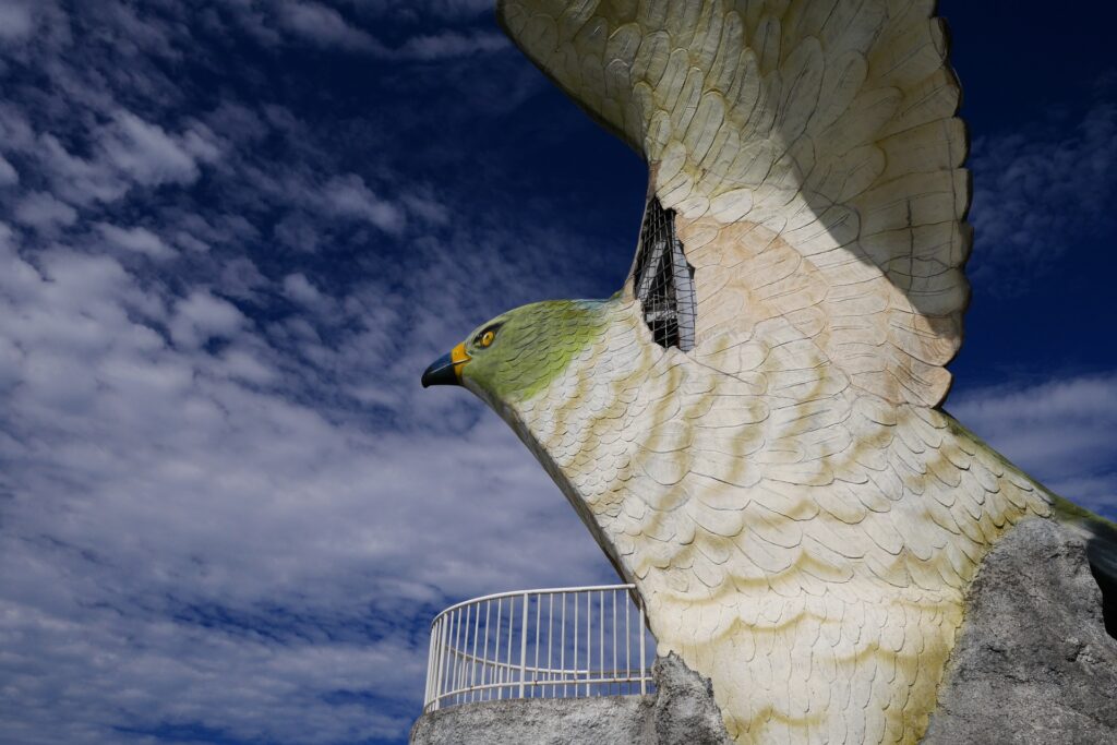 伊良部　フナウサギバナタ　　　期待