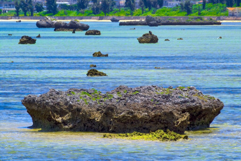 佐和田の浜　満潮