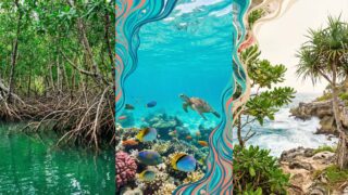 伊良部島・下地島の生態系と植物