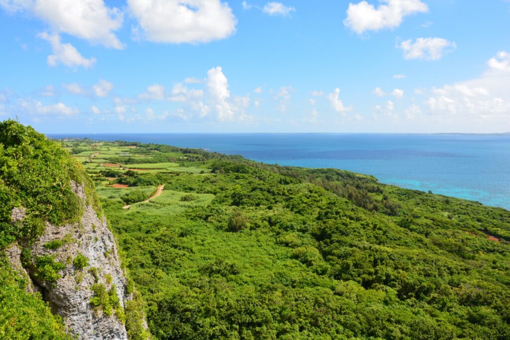 季節によってはクモの巣や虫が多い