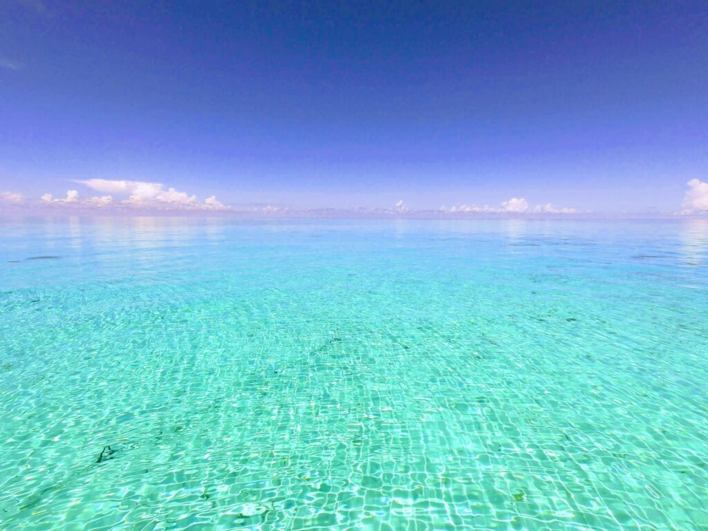 八重干瀬のツアー