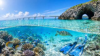 伊良部島のシュノーケルツアー