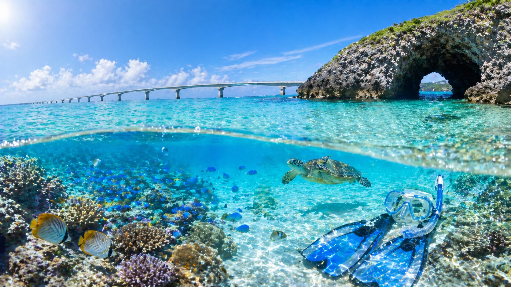 伊良部島のシュノーケルツアー